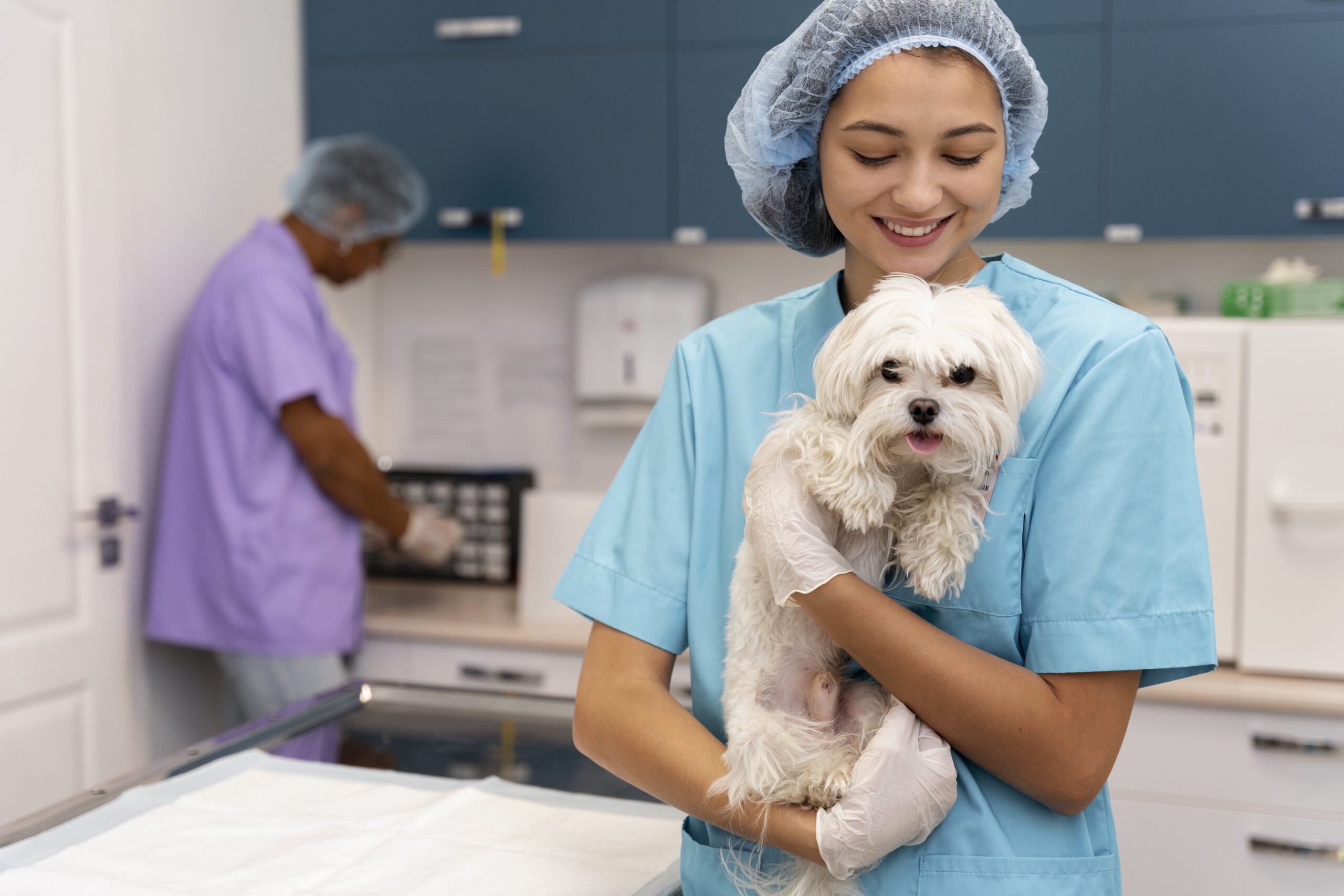 Pet Insurance