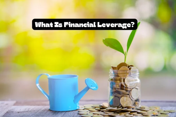 What is Financial Leverage