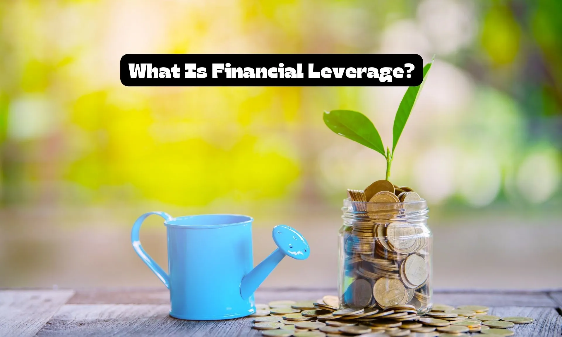 What is Financial Leverage