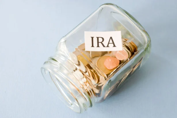What is a Self-Directed IRA