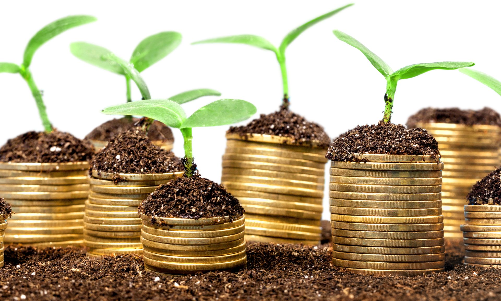 Is Now a Good Time to Invest in Physical Gold for 2024