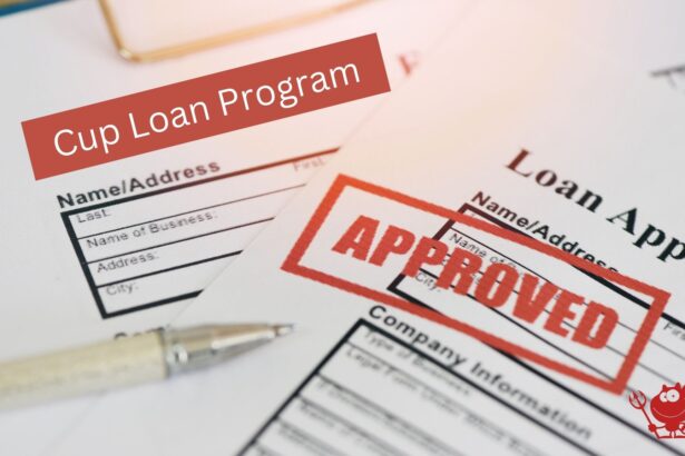 Cup loan programs