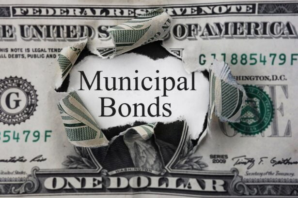 Municipal Bonds a Good Investment in 2024