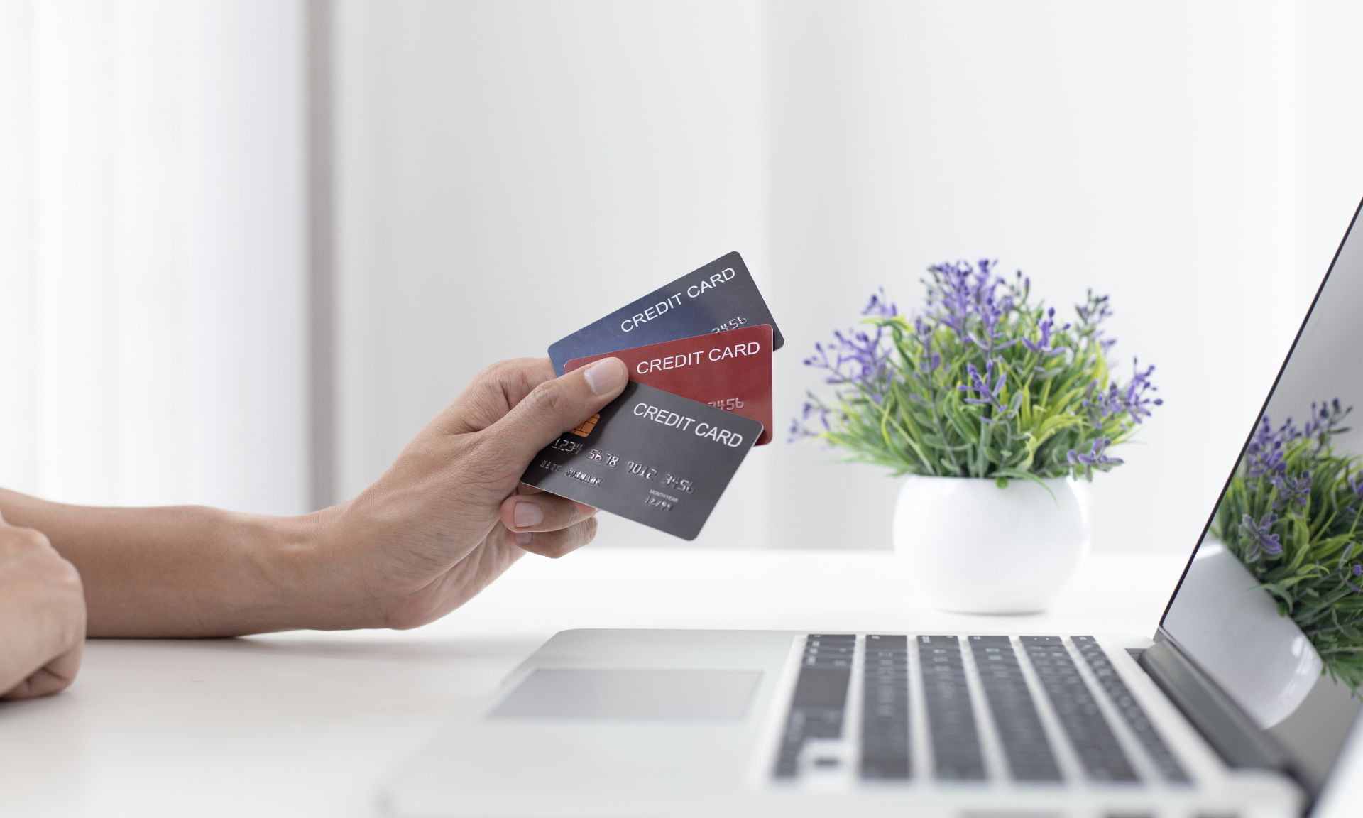 Best No Annual Fee Credit Cards with Rewards and Perks