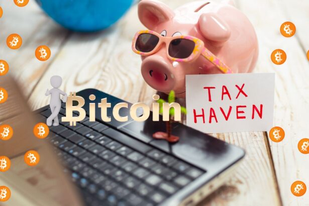 Bitcoin Tax Havens