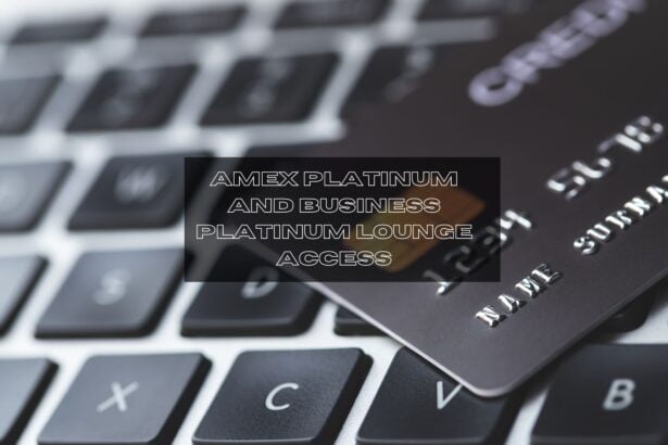Amex Platinum and Business Platinum Lounge Access