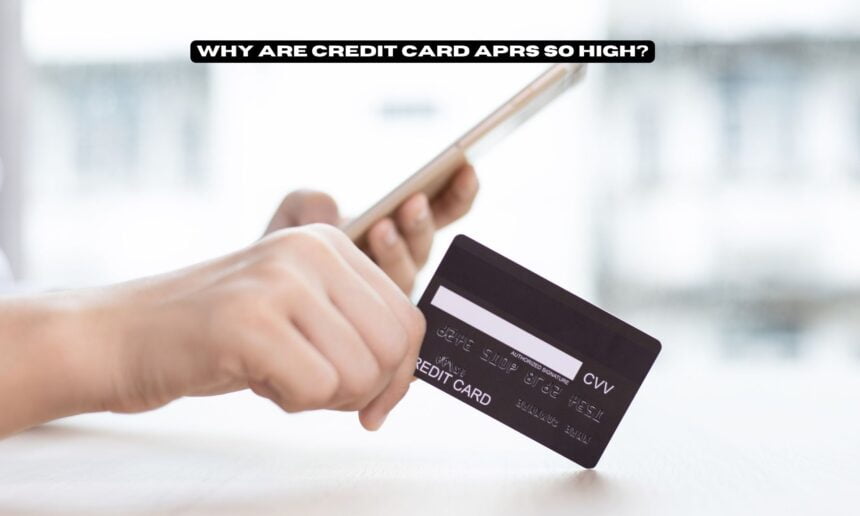 Why Are Credit Card APRs So High?