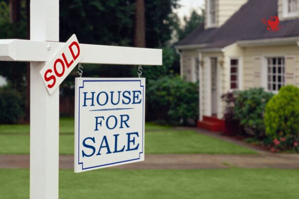 Real Estate Investment Potential in Virginia