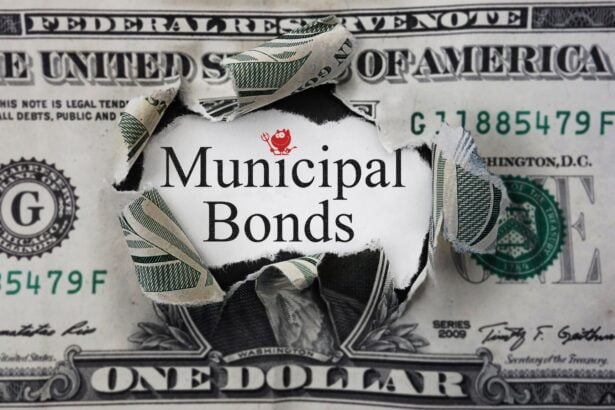 Municipal Bond Issuances In NYC