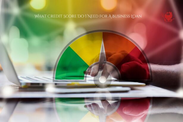What Credit Score Do I Need For A Business Loan