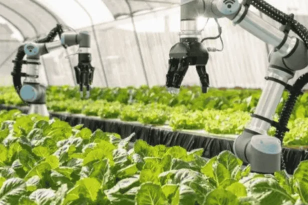 Picas Greenhouse Productions System