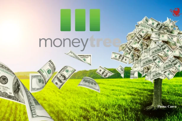 Moneytree Financial Planning Cost