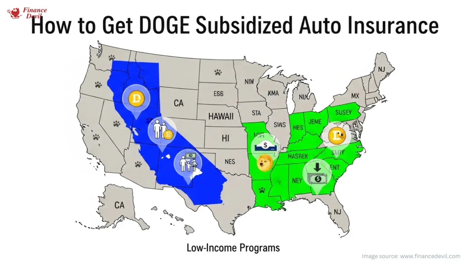 DOGE Subsidized Auto Insurance in the USA